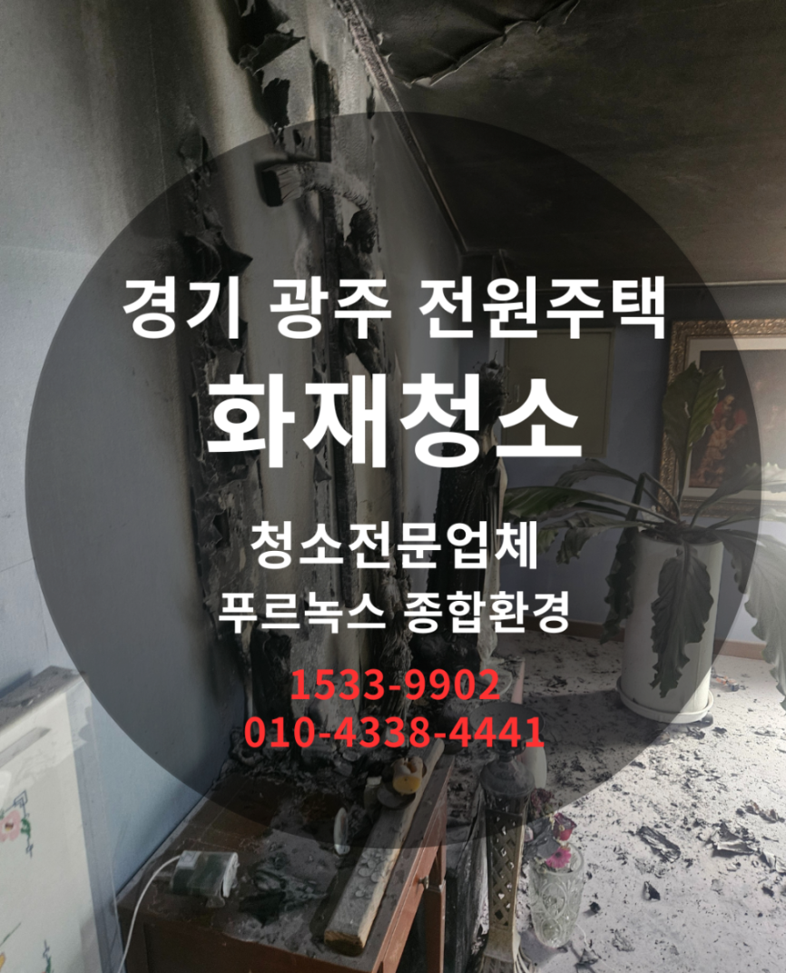 갤러리 이미지 7